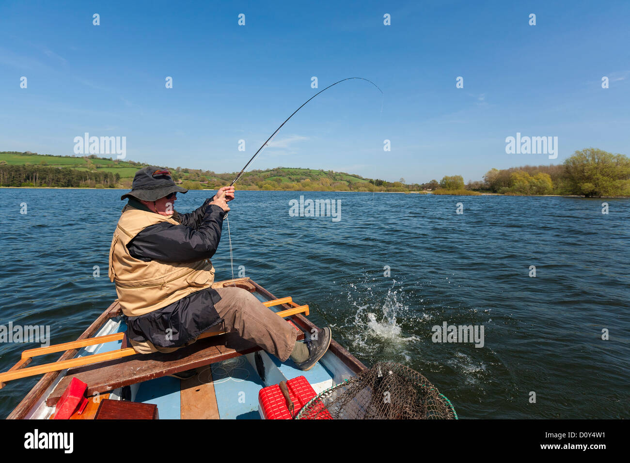 Forellen Fischer spielt große Forellen nah am Boot. Stockfoto