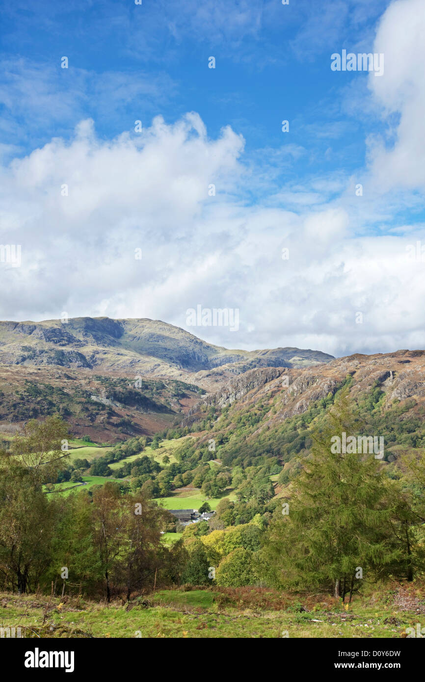 Herbstzeit in der Nähe von Tarn Hows mit der Coniston Fells in der Ferne, Nationalpark Lake District, Cumbria, England UK Stockfoto