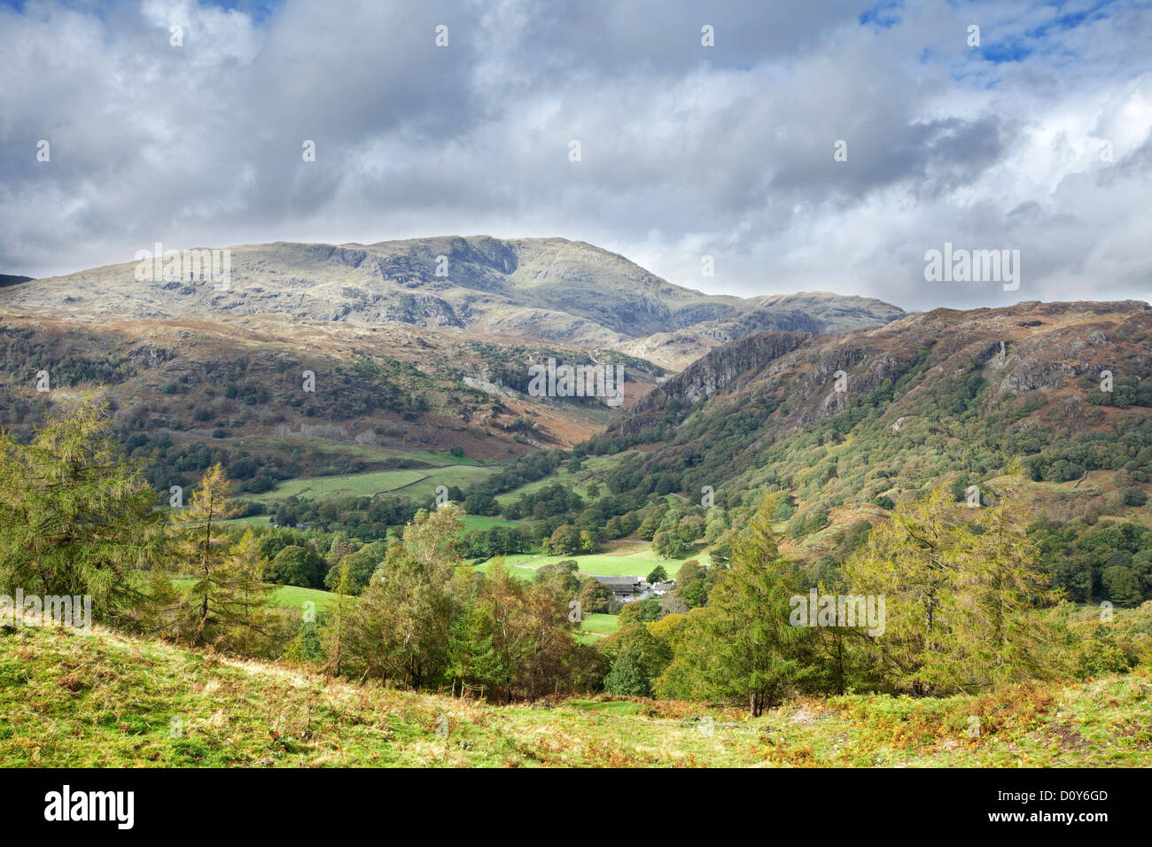 Herbstzeit in der Nähe von Tarn Hows mit der Coniston Fells in der Ferne, Nationalpark Lake District, Cumbria, England UK Stockfoto