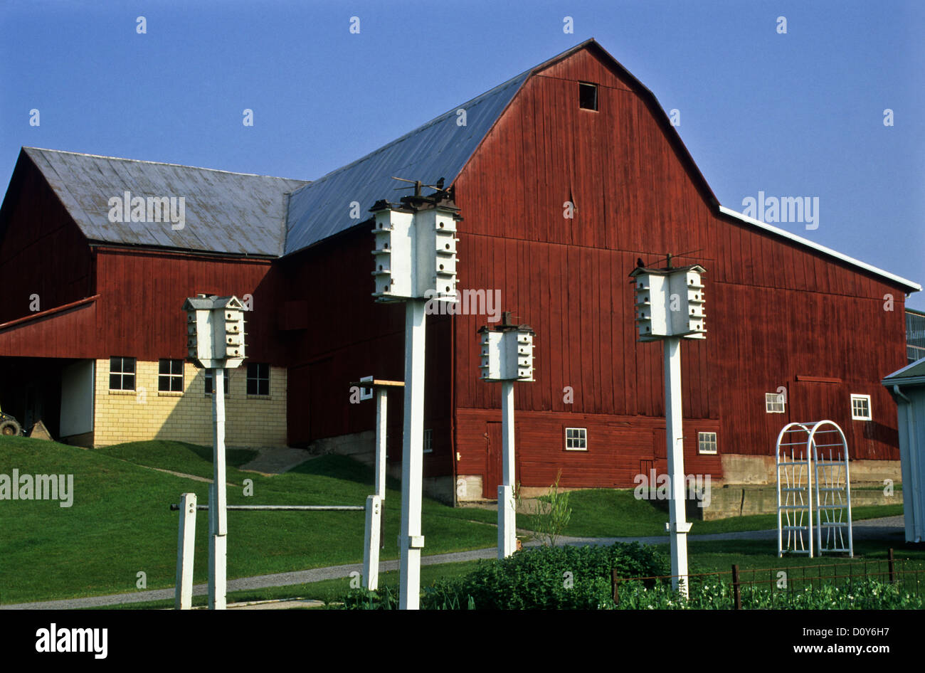 Vintage Red Barn auf einer Amish Farm und Weiß Purple Martins, Holmes County, Ohio, USA, Vereinigte Staaten, Martin House Box nisten Vögel, Amish Barn Stockfoto