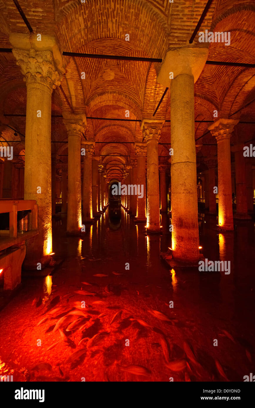 Fisch in rotes Licht mit Marmorsäulen der unterirdischen Basilika Zisterne von Istanbul Türkei Stockfoto