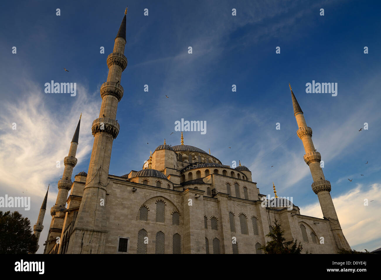 Blaue Moschee Sultanahmet Istanbul Türkei von hinten bei Sonnenuntergang Stockfoto