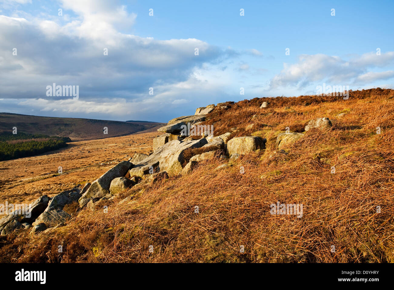 Eine Landschaftsansicht Burbage Felsen Sheffield South Yorkshire UK Stockfoto