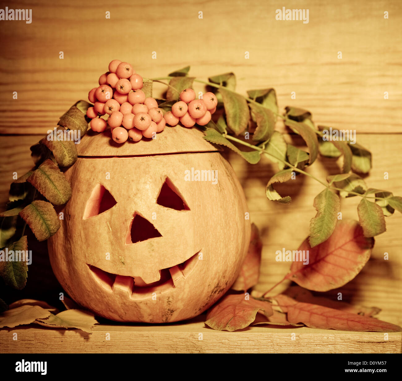 Halloween-Kürbis Stockfoto