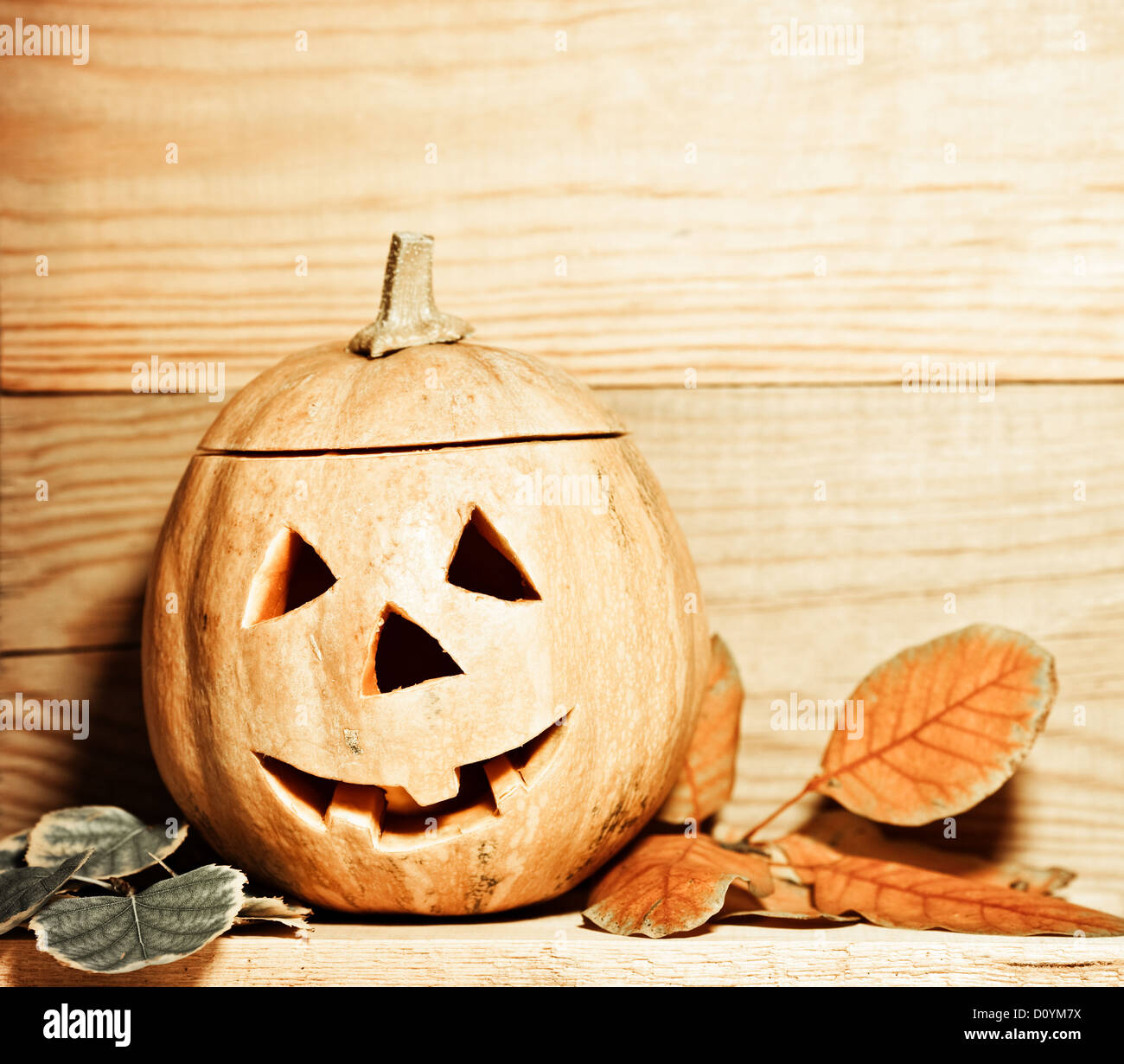 Halloween-Kürbis Stockfoto
