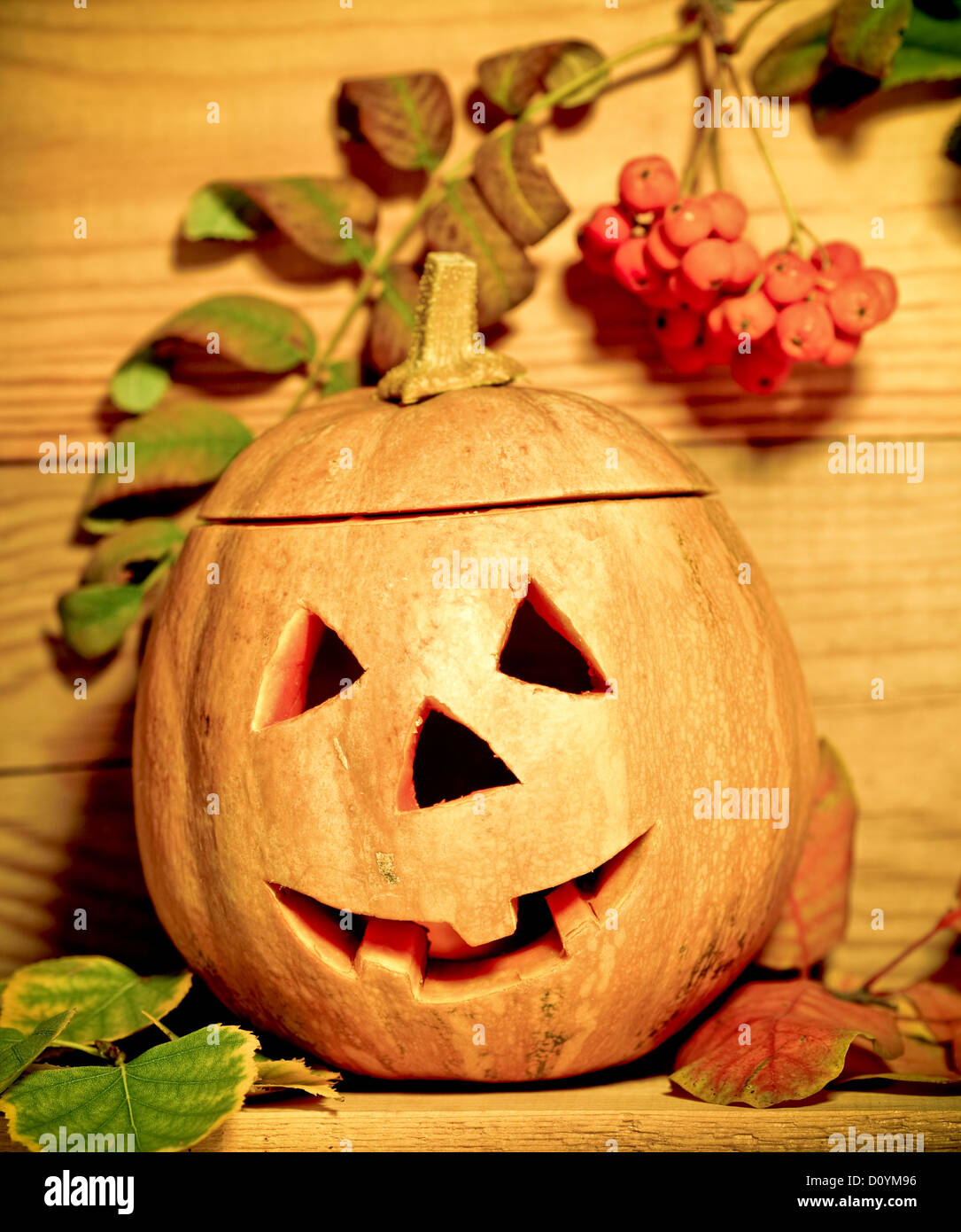 Halloween-Kürbis Stockfoto