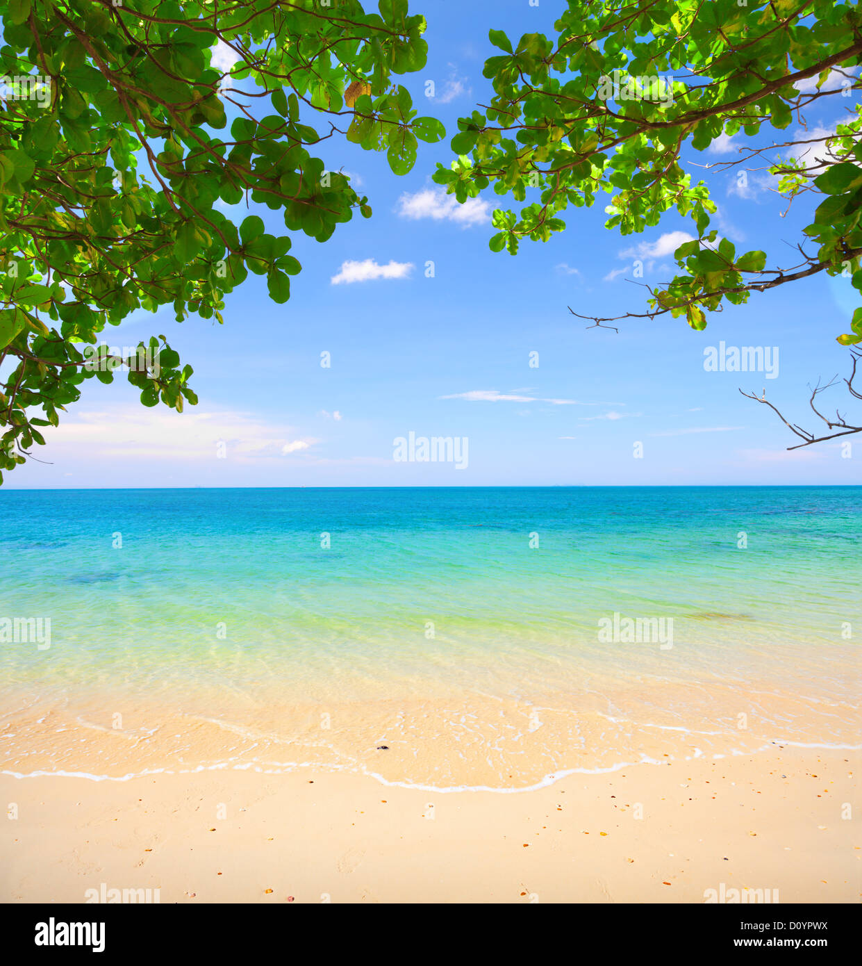 wunderschönen tropischen Strand Stockfoto