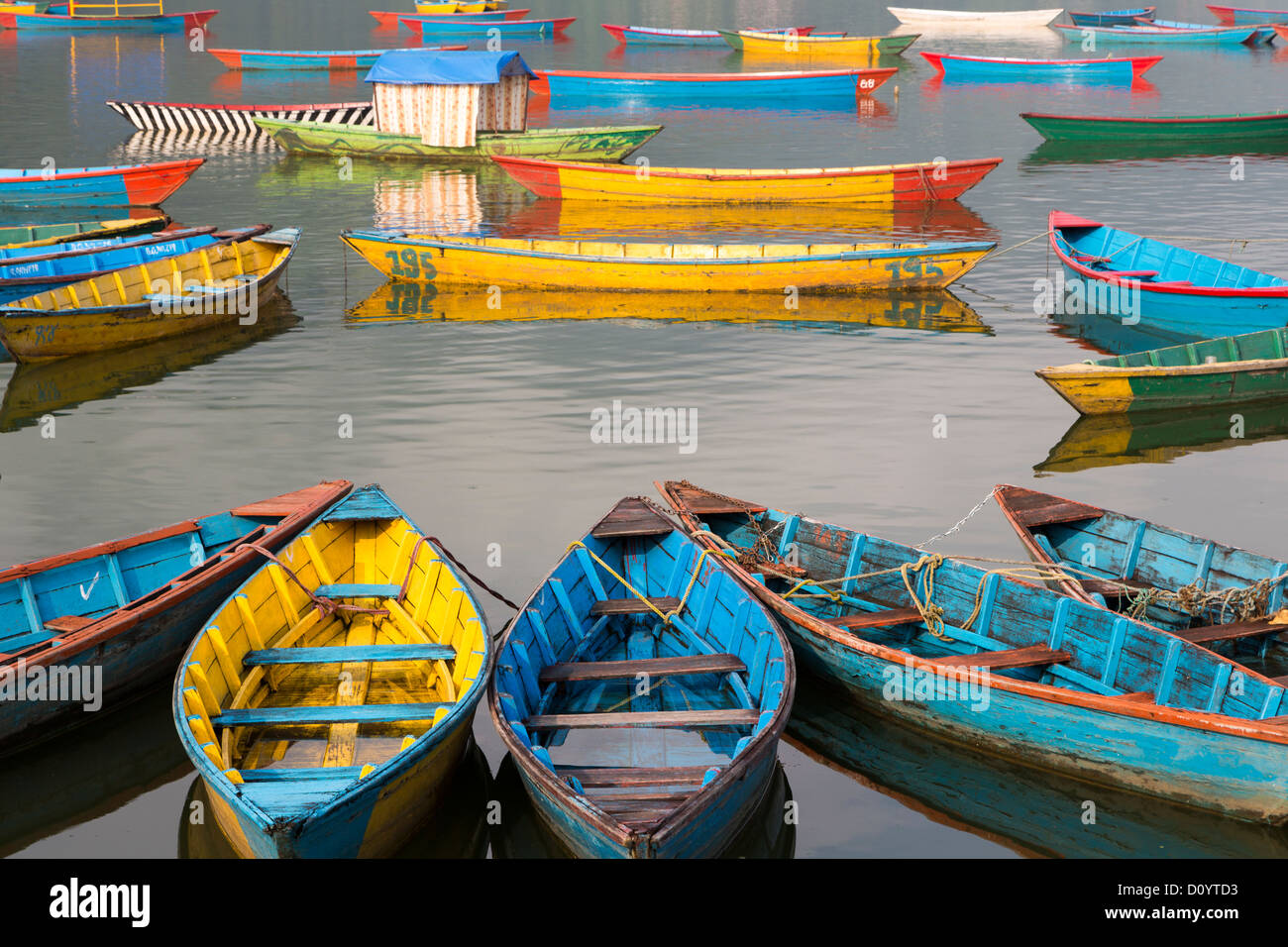 Viele bunte Holzboot stehend auf Phewa (oder Fewa) See in Pokhara, Nepal Stockfoto