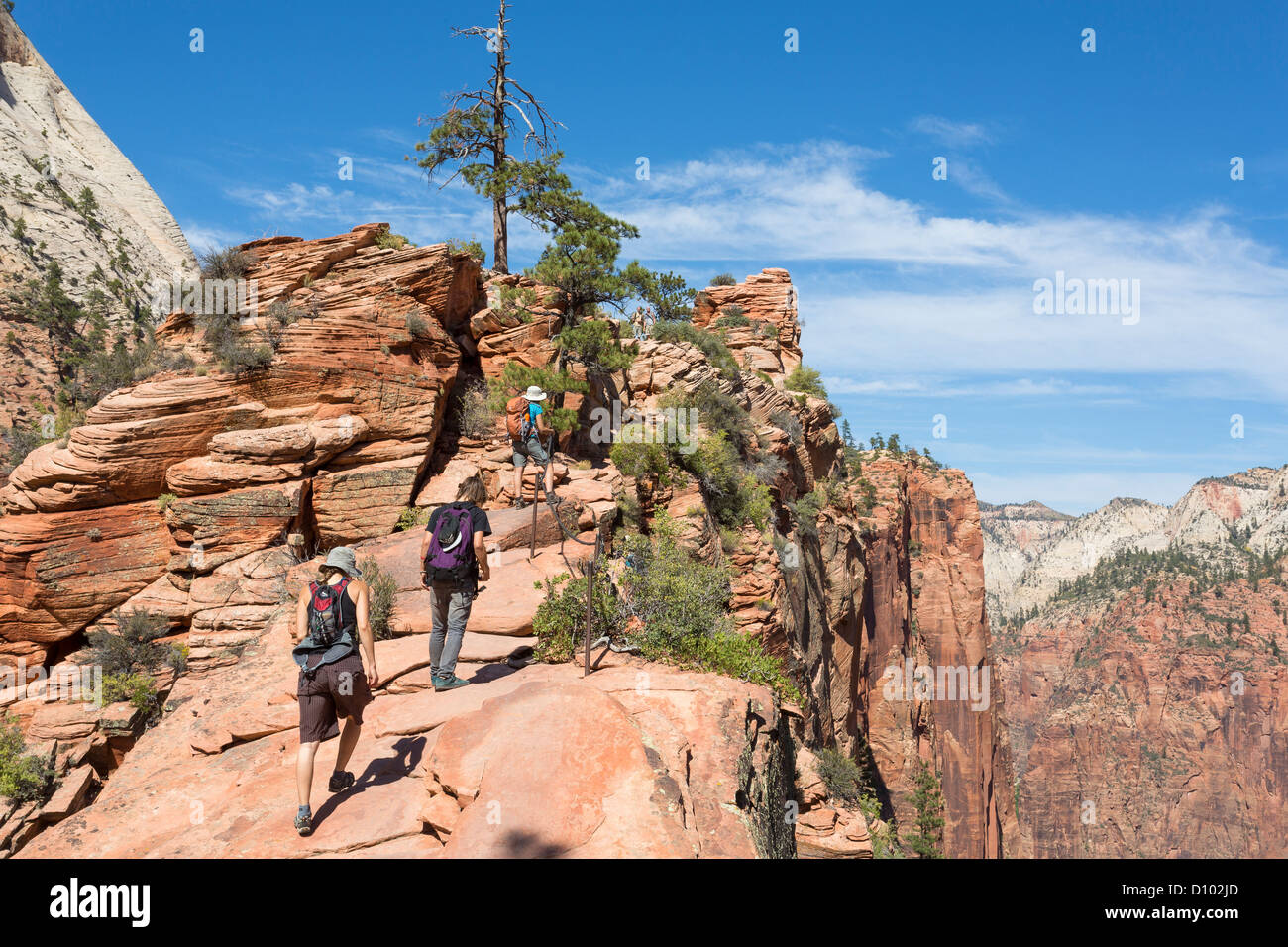 Junge Menschen, die eine anstrengende Angel Landing Wanderweg im Zion National Park - schöne Ausblicke Stockfoto