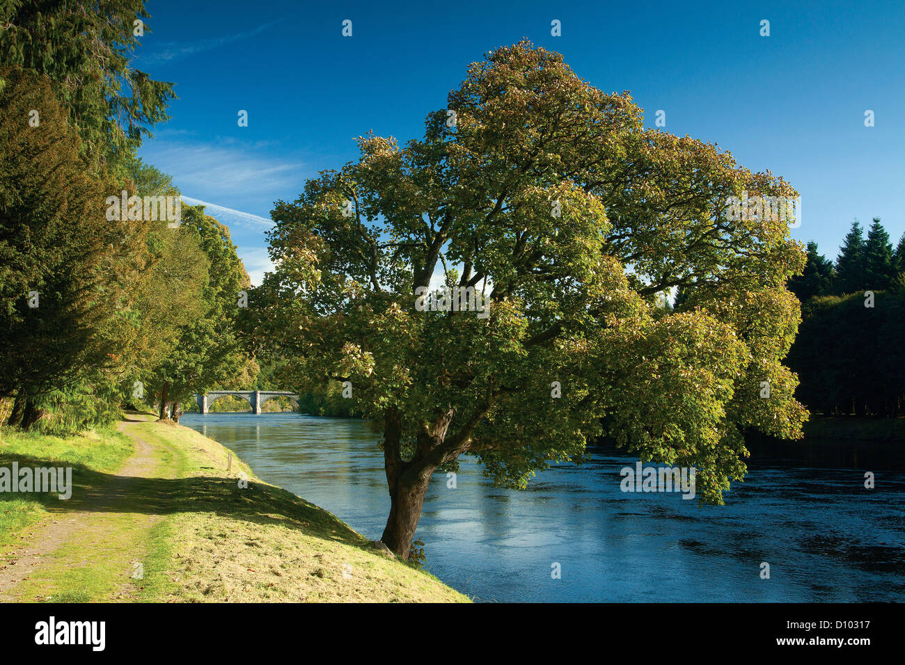 Den Fluss Tay und Dunkeld Brücke, Dunkeld Perthshire Stockfoto