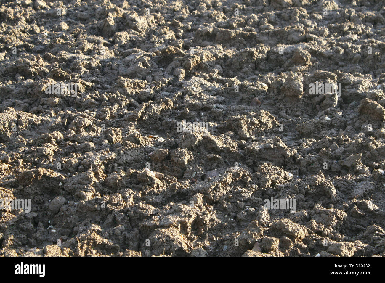 gepflügtes Feld mit Klumpen von Braunerde Stockfoto