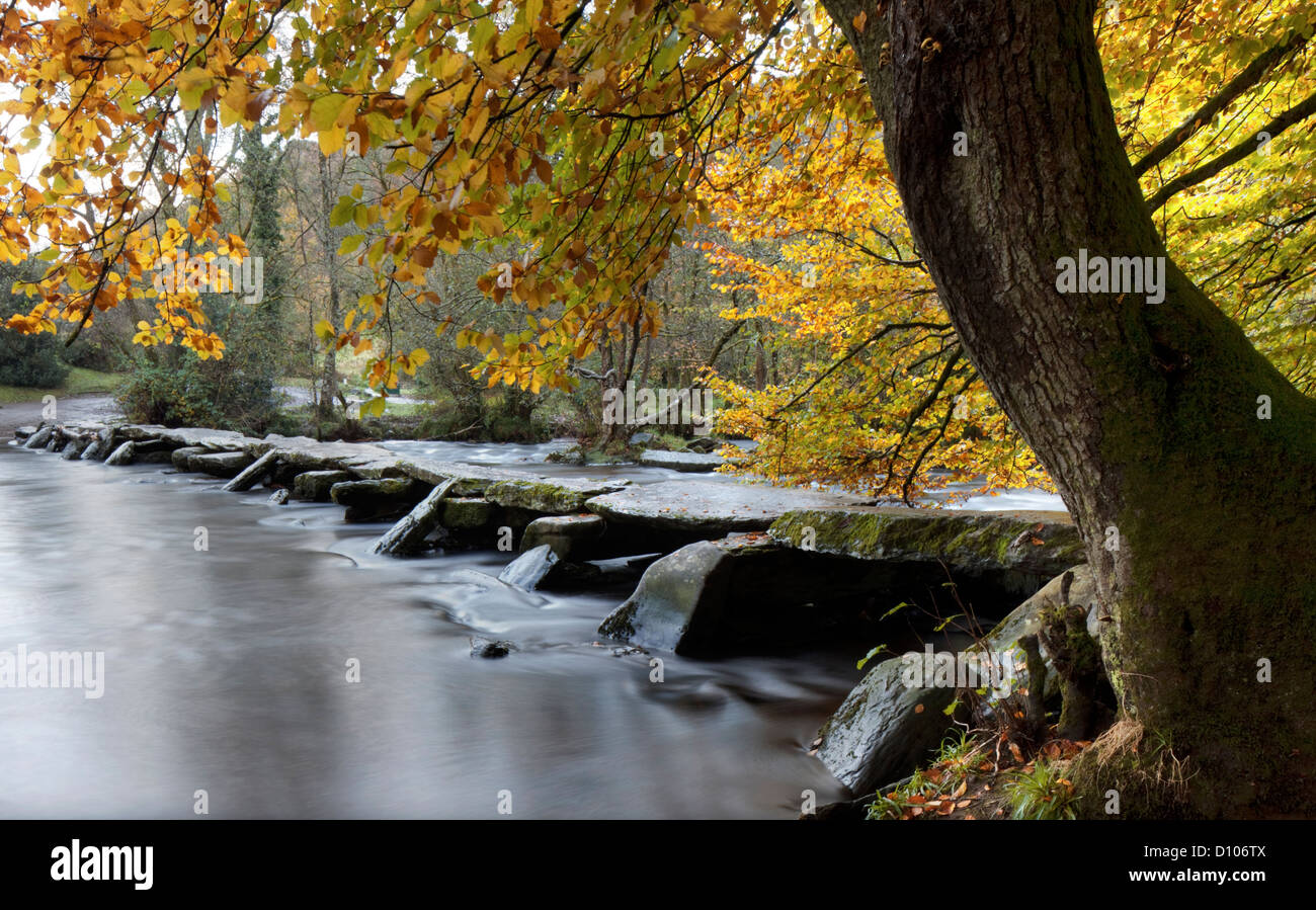 Herbst am Tarr Steps und der Fluß Barle, Exmoor National Park, Somerset, England, Vereinigtes Königreich Stockfoto