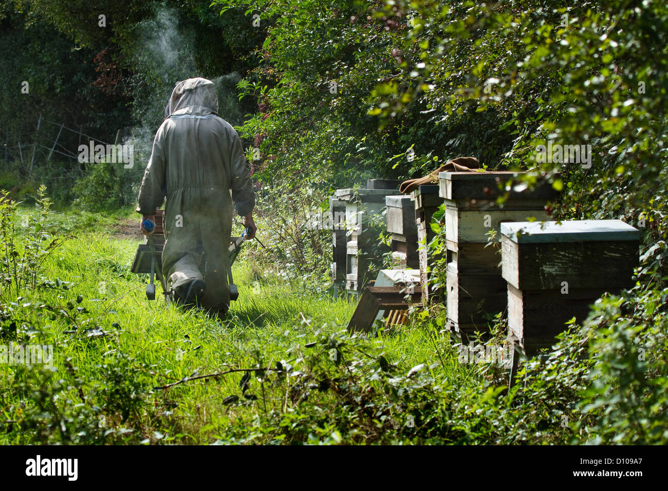 Biene-Keeper Stockfoto