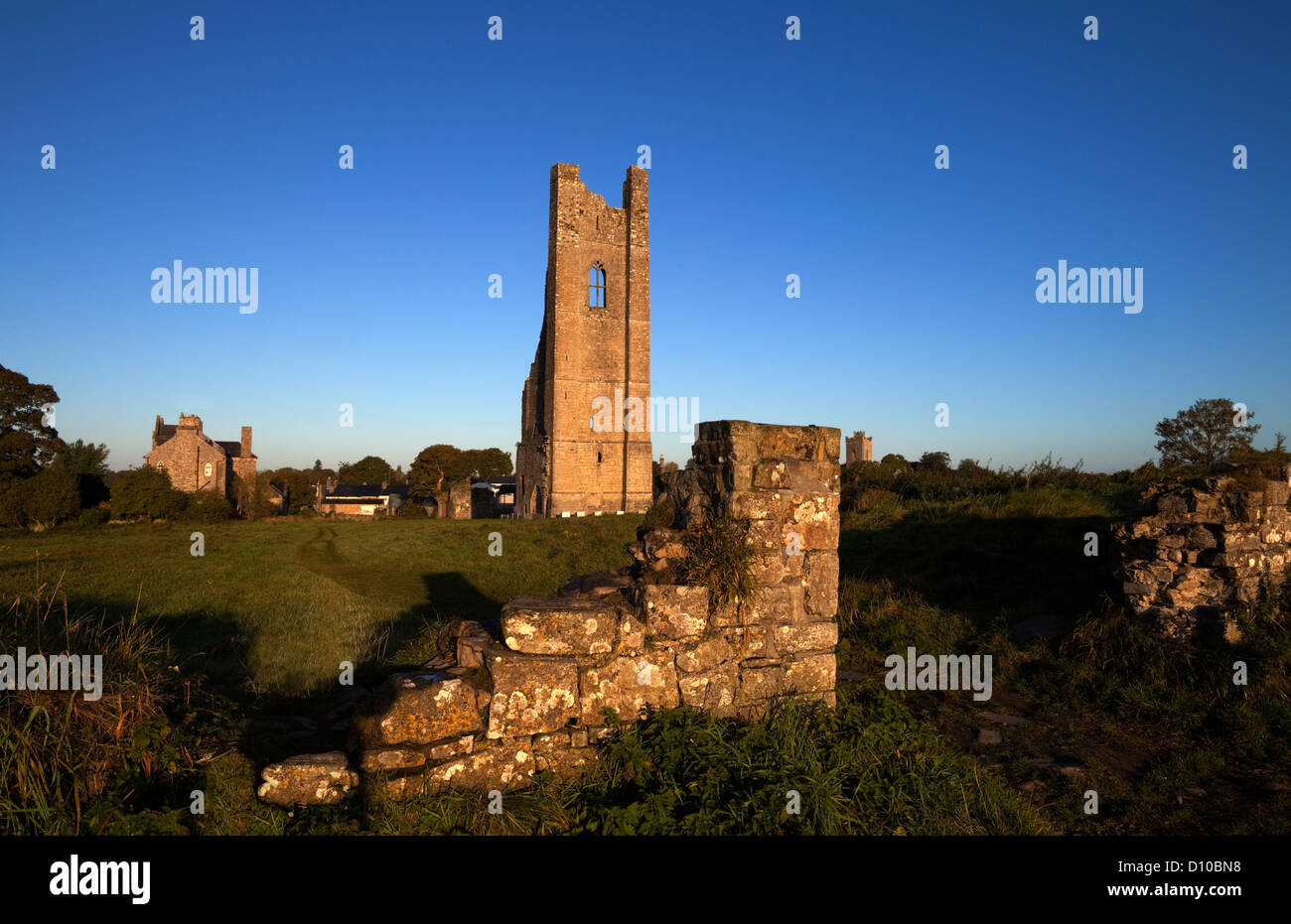 Der gelbe Turm, Teil der Überreste der Abtei aus dem 6. Jahrhundert Kloster der Heiligen Jungfrau oberhalb des Flusses Boyne, Trim, County Meath, Irland Stockfoto