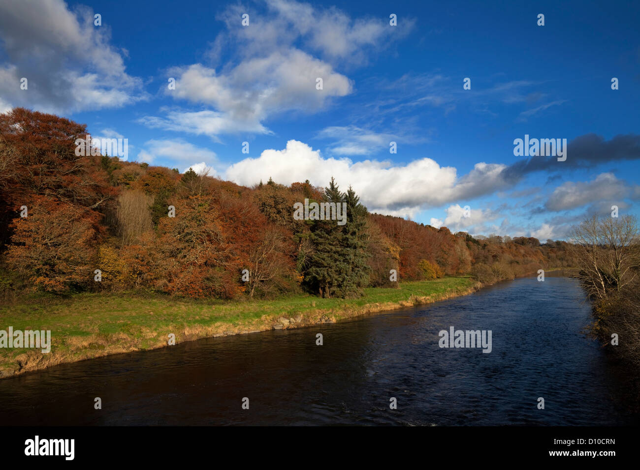 Am Ufer des River Nore, von der Kilmacshane Brücke, Grafschaft Kilkenny, Irland Stockfoto