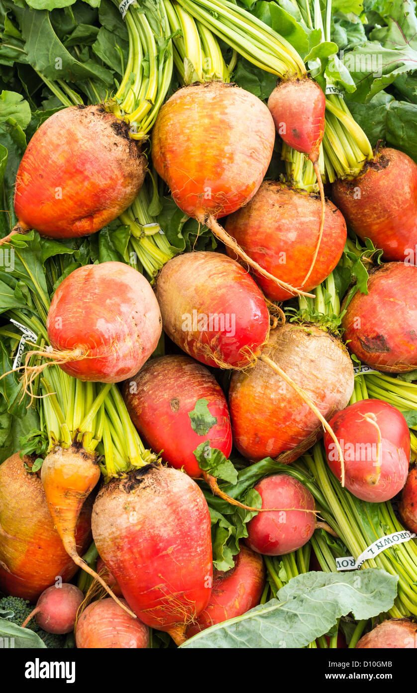 Orange Rüben Wurzeln auf dem Display auf dem Bauernmarkt Stockfoto