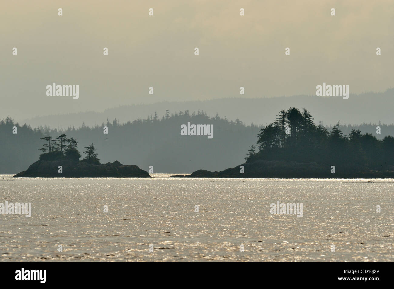 Anhebende Nebel über Blackfish Sound, Vancouver Island, Britisch-Kolumbien BC, Kanada Stockfoto