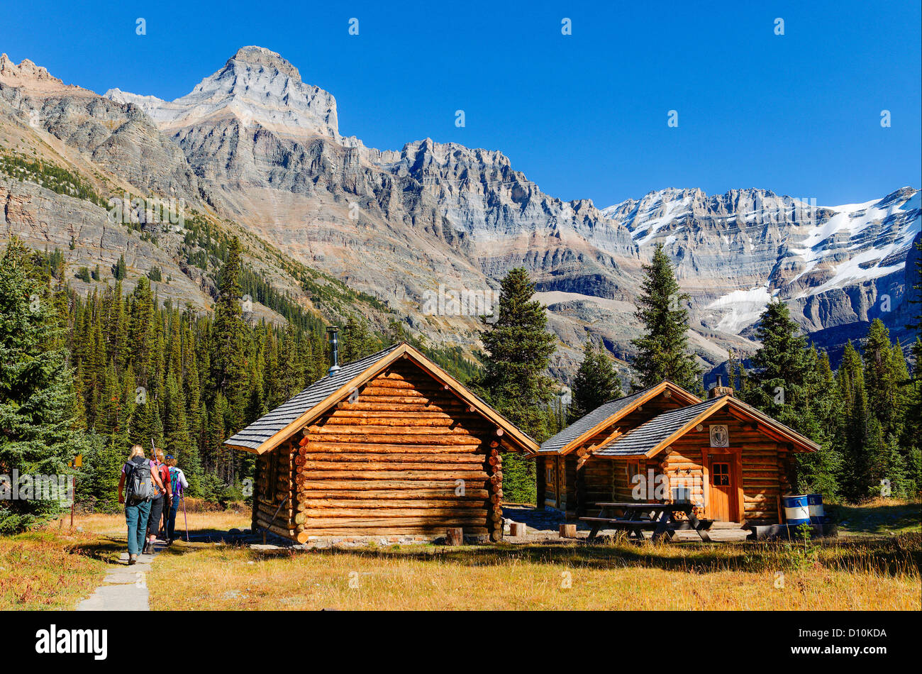Elizabeth Parker Hütte, Yoho Nationalpark, Britisch-Kolumbien, Kanada Stockfoto