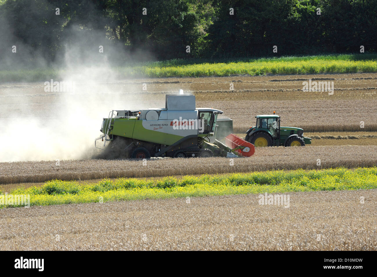 Kombinieren Sie Ernte in Hampshire, England, mit einem CLAAS Lexion 570 Terra-Trac mit V900 Auto Contour Header Stockfoto