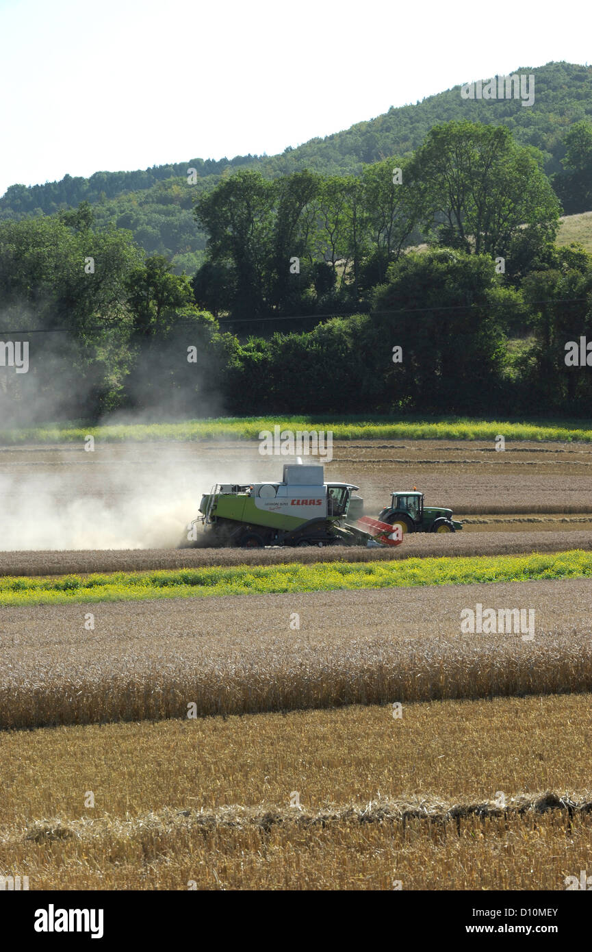 Kombinieren Sie Ernte in Hampshire, England, mit einem CLAAS Lexion 570 Terra-Trac mit V900 Auto Contour Header Stockfoto