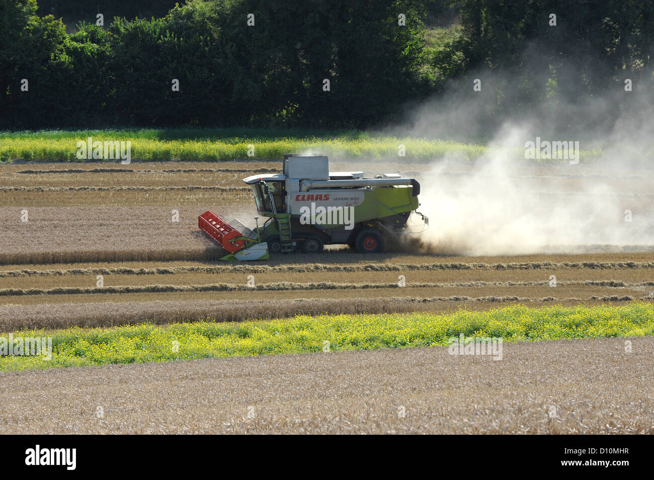 Kombinieren Sie Ernte in Hampshire, England, mit einem CLAAS Lexion 570 Terra-Trac mit V900 Auto Contour Header Stockfoto