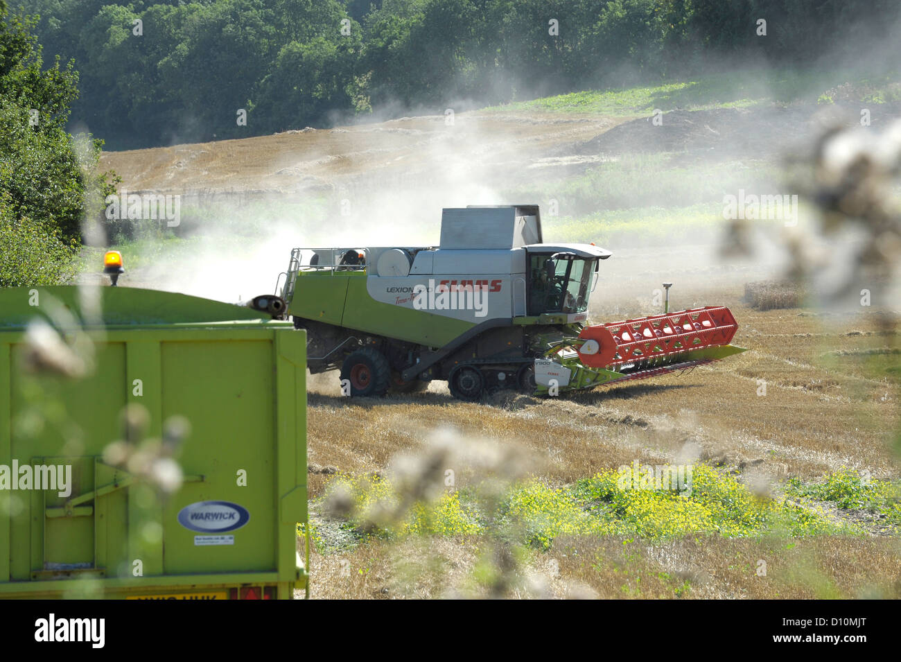 Kombinieren Sie Ernte in Hampshire, England, mit einem CLAAS Lexion 570 Terra-Trac mit V900 Auto Contour Header Stockfoto