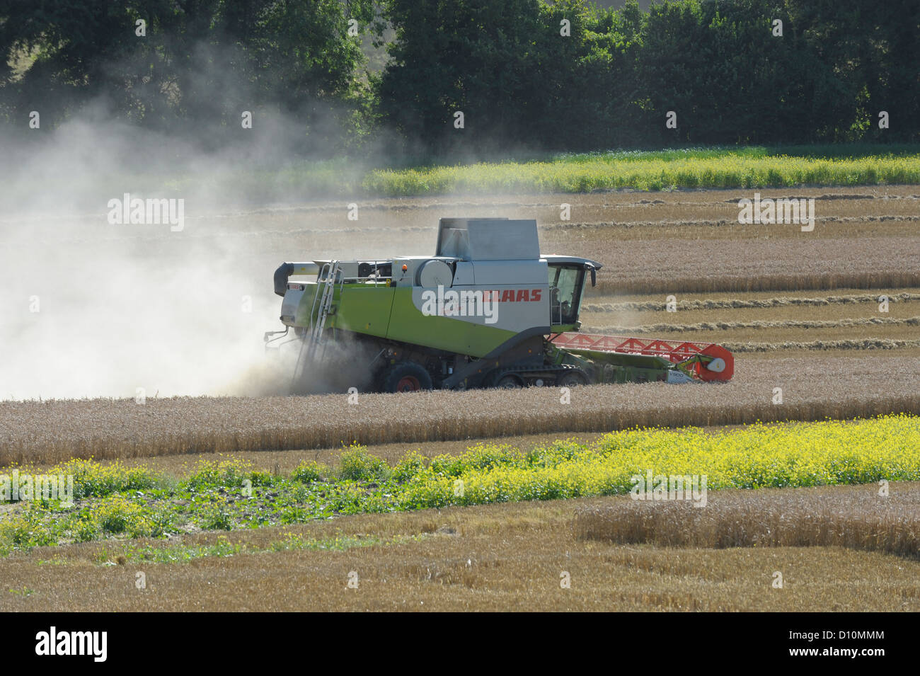 Kombinieren Sie Ernte in Hampshire, England, mit einem CLAAS Lexion 570 Terra-Trac mit V900 Auto Contour Header Stockfoto