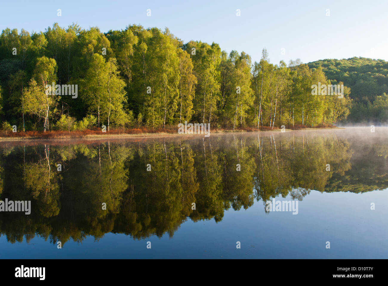 Ruhige See und frühen Morgennebel. Stockfoto