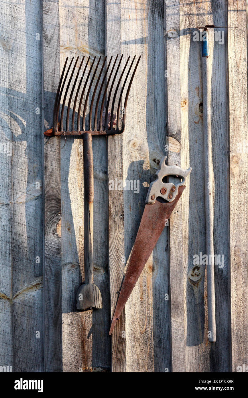 Werkzeuge aus einem alten Schuppen hängen. Stockfoto