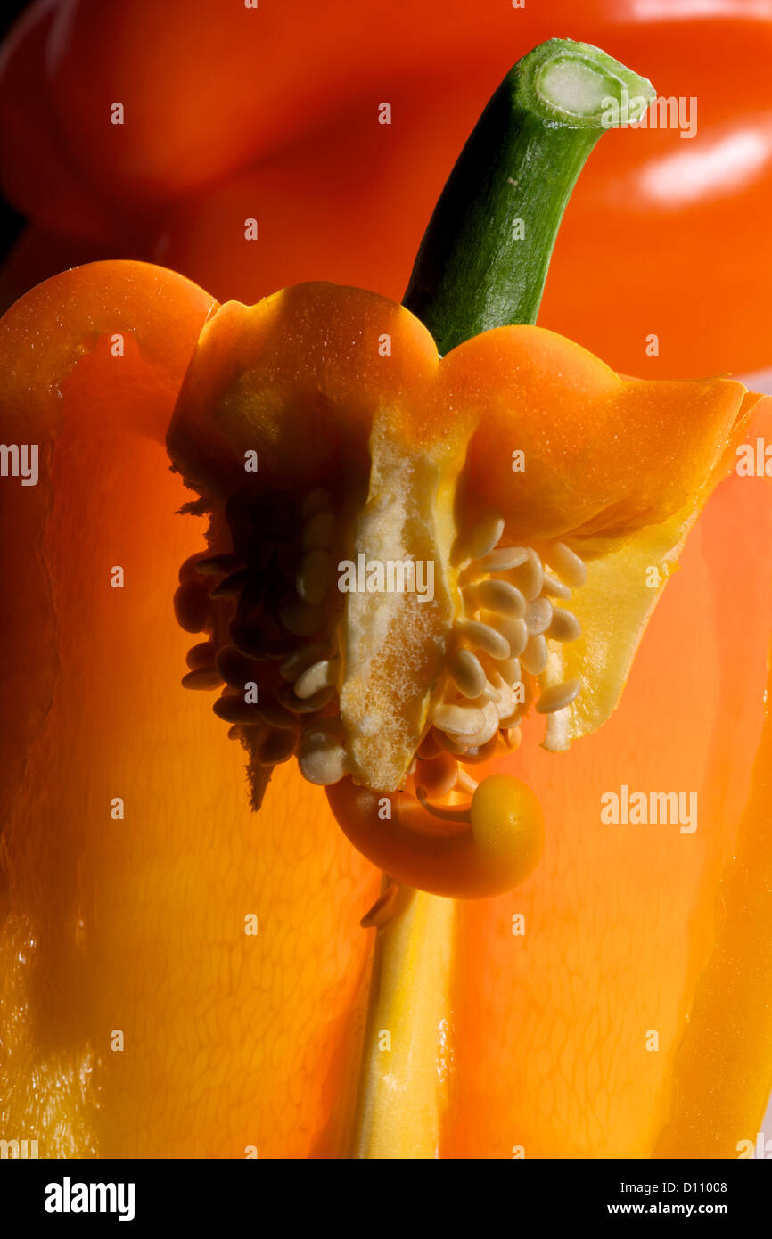 Detail einer Paprika (Paprika) Stockfoto