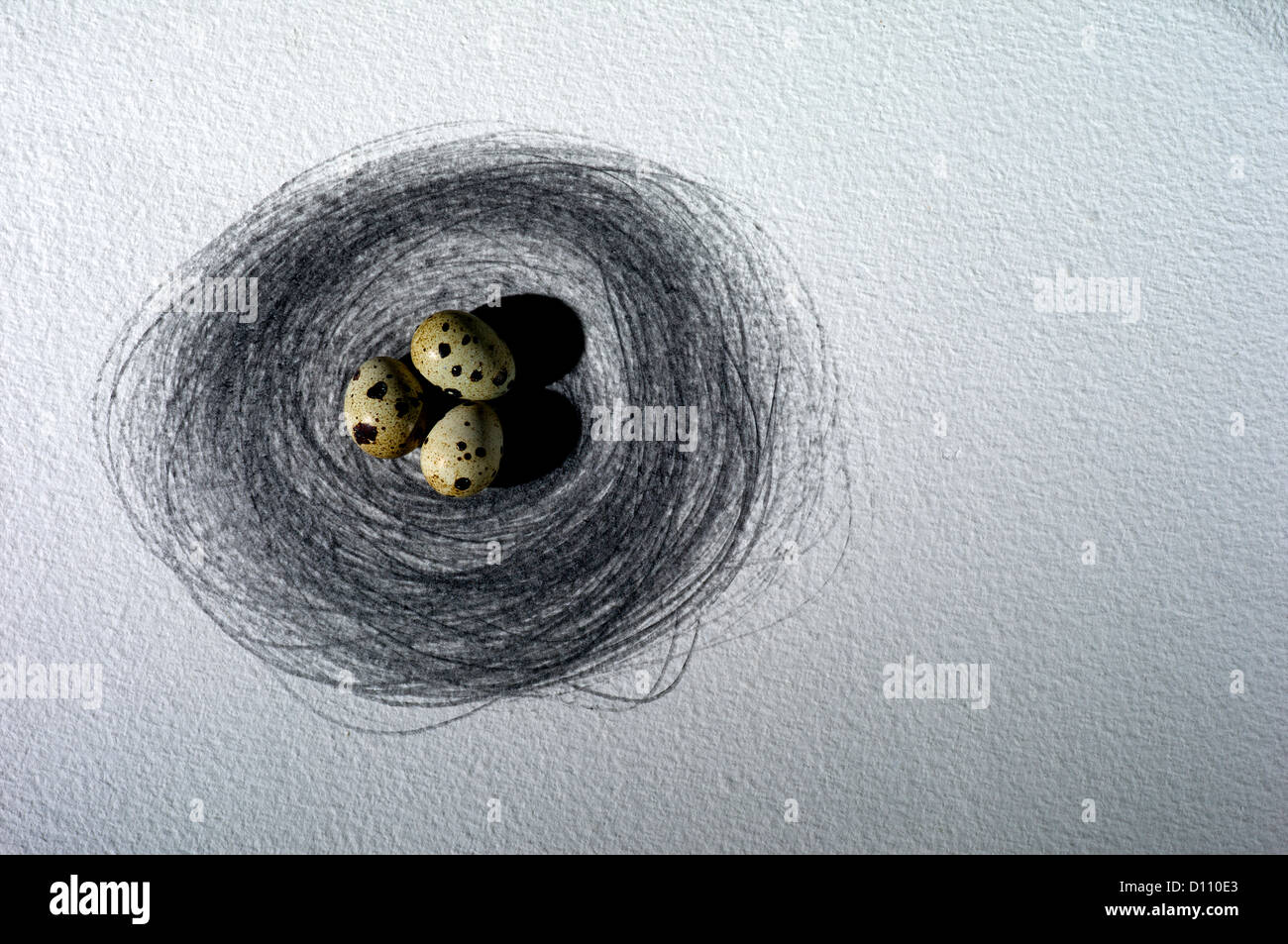 Ansicht von oben von drei Vogel Ei im Nest. Stockfoto