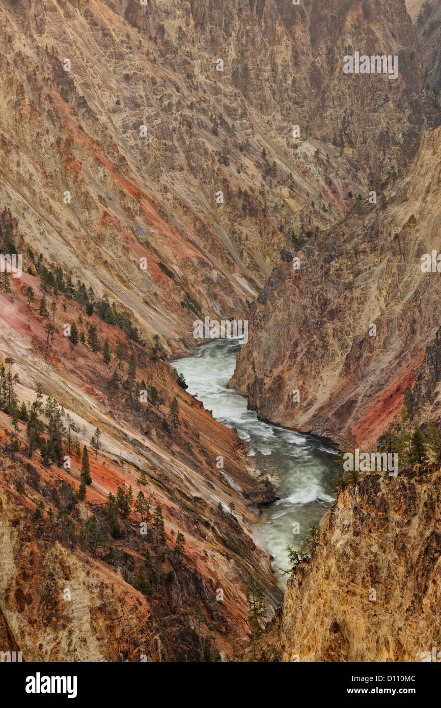 Grand Canyon of the Yellowstone, Yellowstone NP, Wyoming, USA Stockfoto