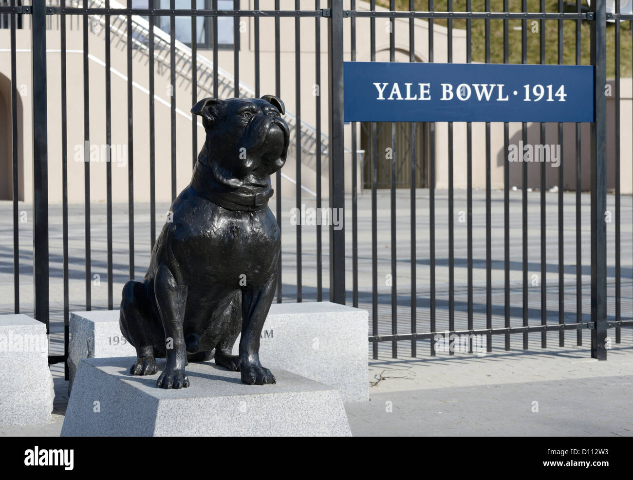 Yale Bulldog vor Yale Bowl, Yale University, New Haven CT Stockfoto