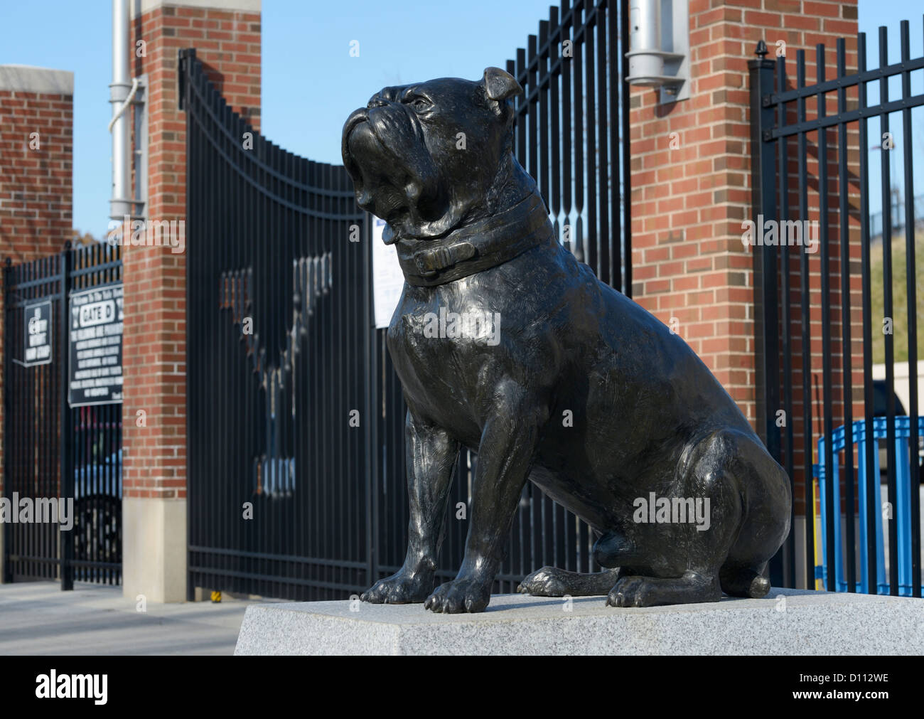 Yale Bulldog vor Yale Bowl, Yale University, New Haven CT Stockfoto