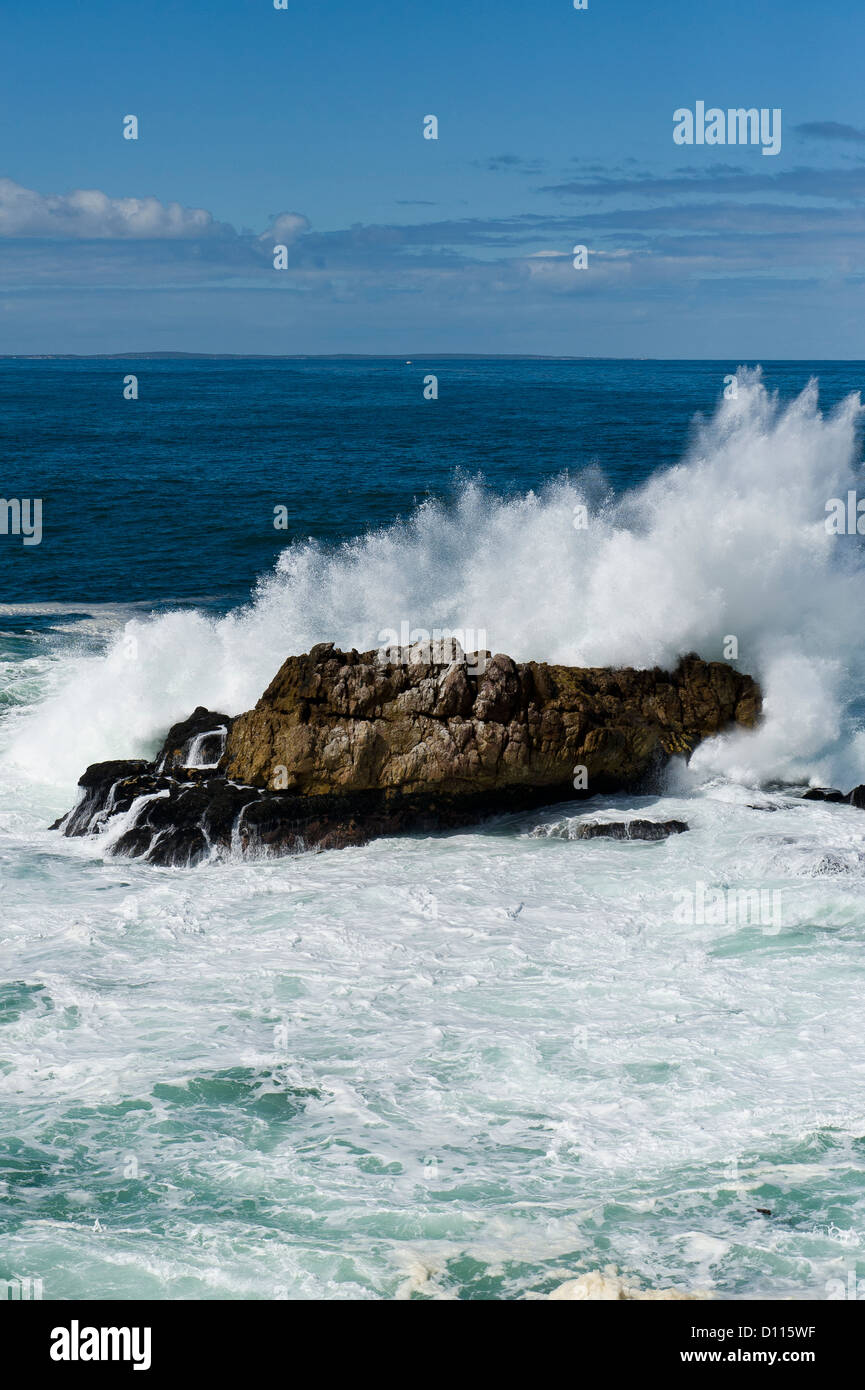 Welle, crushing auf Felsen, Hermanus, Südafrika Stockfoto