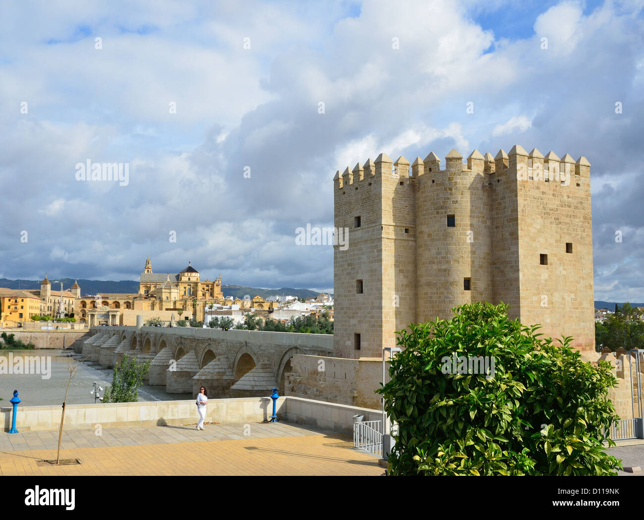 Römische Brücke von Cordoba Stockfoto