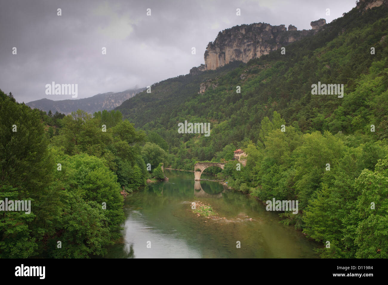 Blick auf die Gorges du Tarn mit den Fluss Tarn und die zerstörte Brücke la Muse. In der Nähe von Le Rozier, Lozère, Frankreich. Juni. Stockfoto