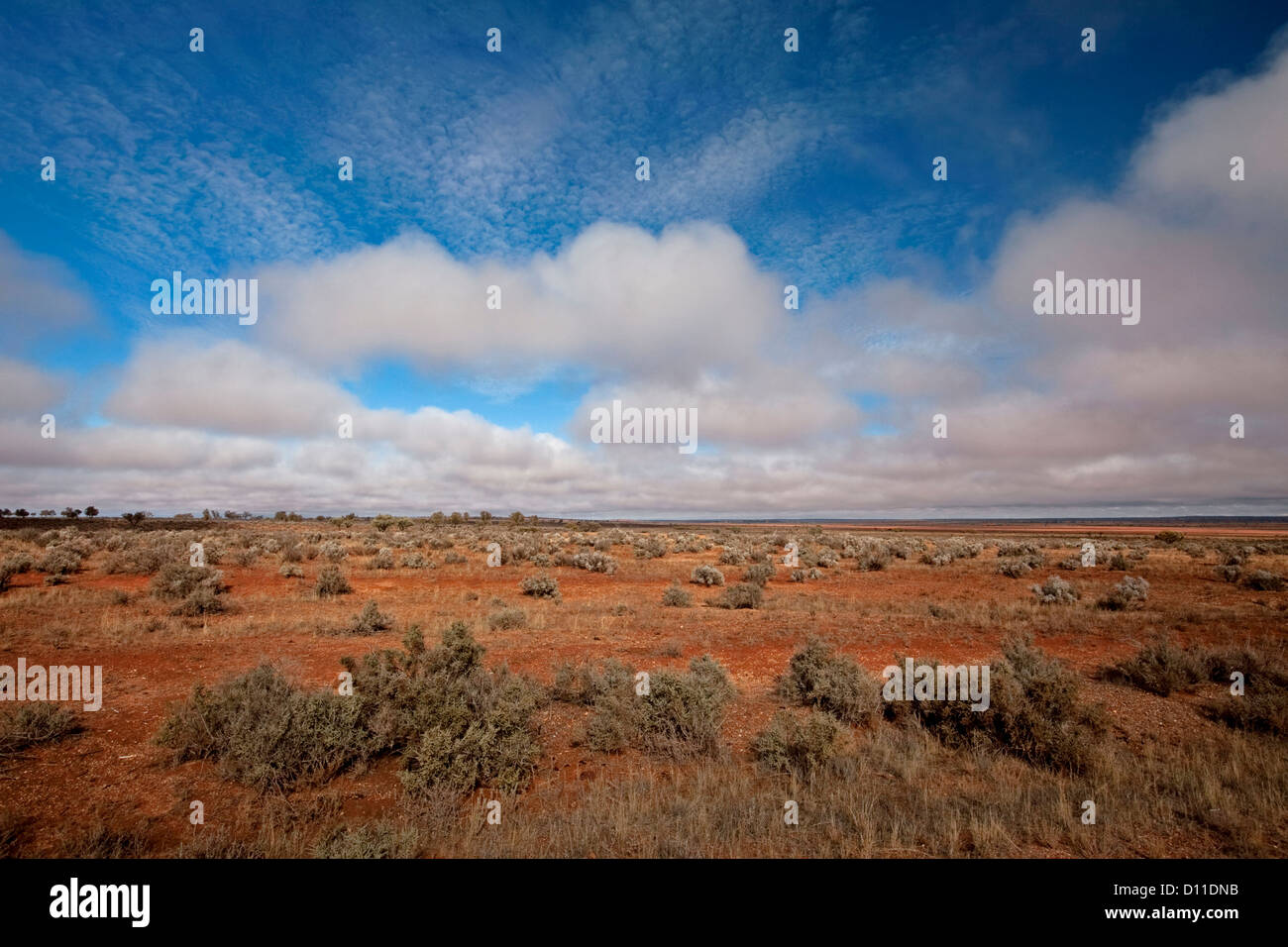 Australische Outback-Landschaft des weiten, trockenen Ebenen und strahlend blauer Himmel und einzigartige Wolkenformationen in der Nähe von Broken Hill, NSW, Australien Stockfoto
