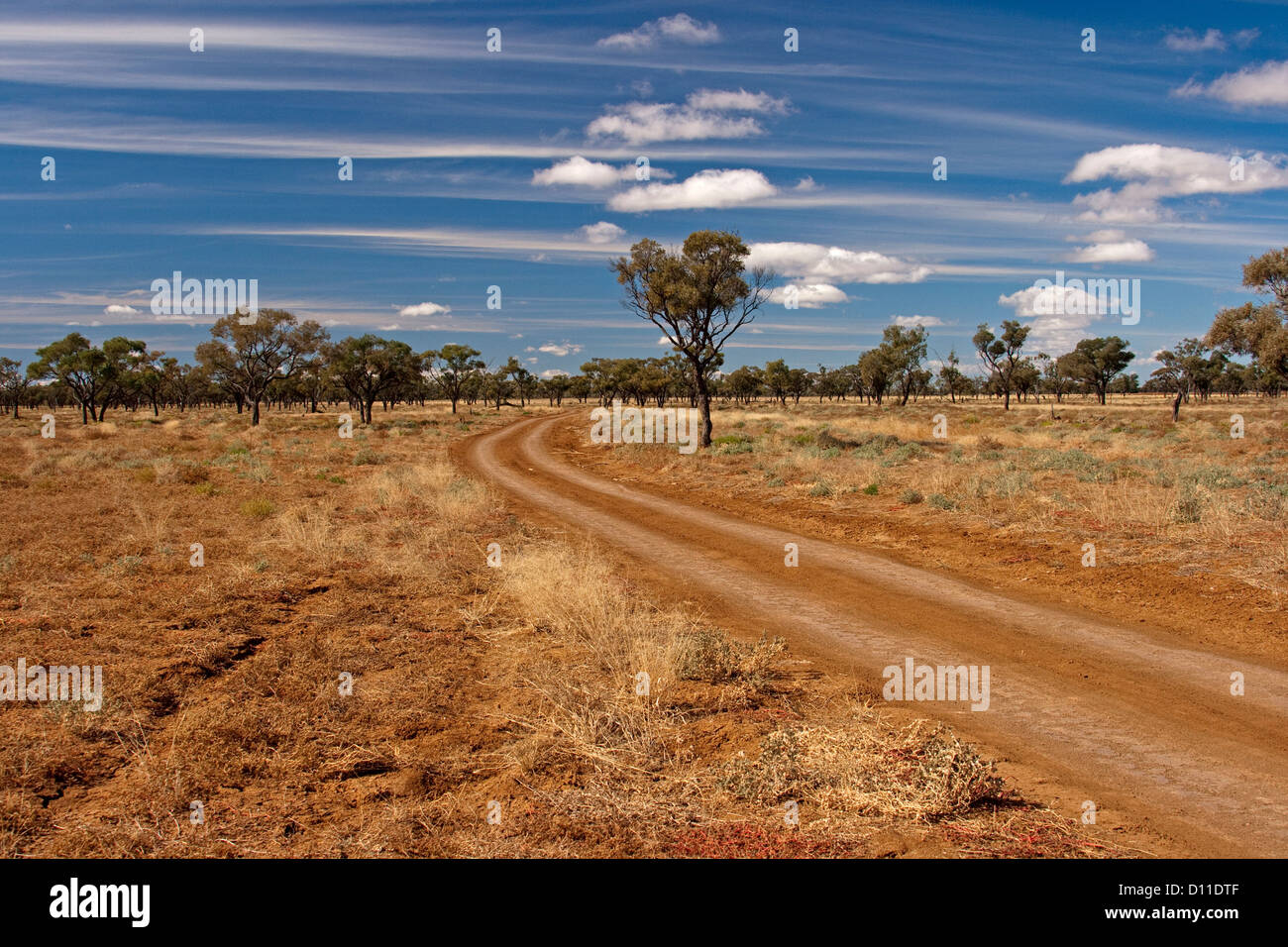 Verfolgen Sie in australischen outback Ebenen zum See Houdraman in der Nähe von Stadt Quilpie in Südwest-Queensland, Australien Stockfoto