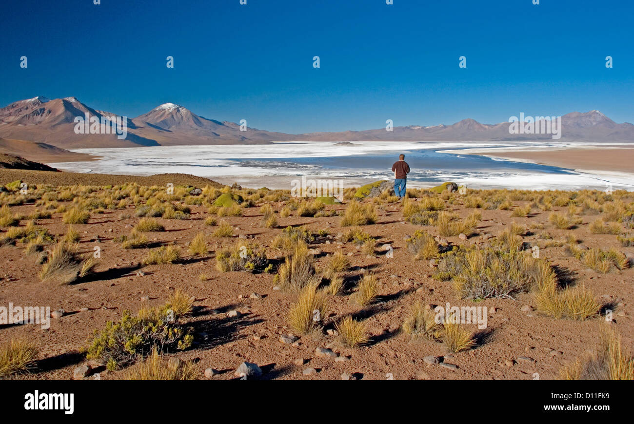 Landschaft des Salar de Suriri - Salzsee - im Nationalpark Lauca in den Anden von Chile Südamerika Stockfoto