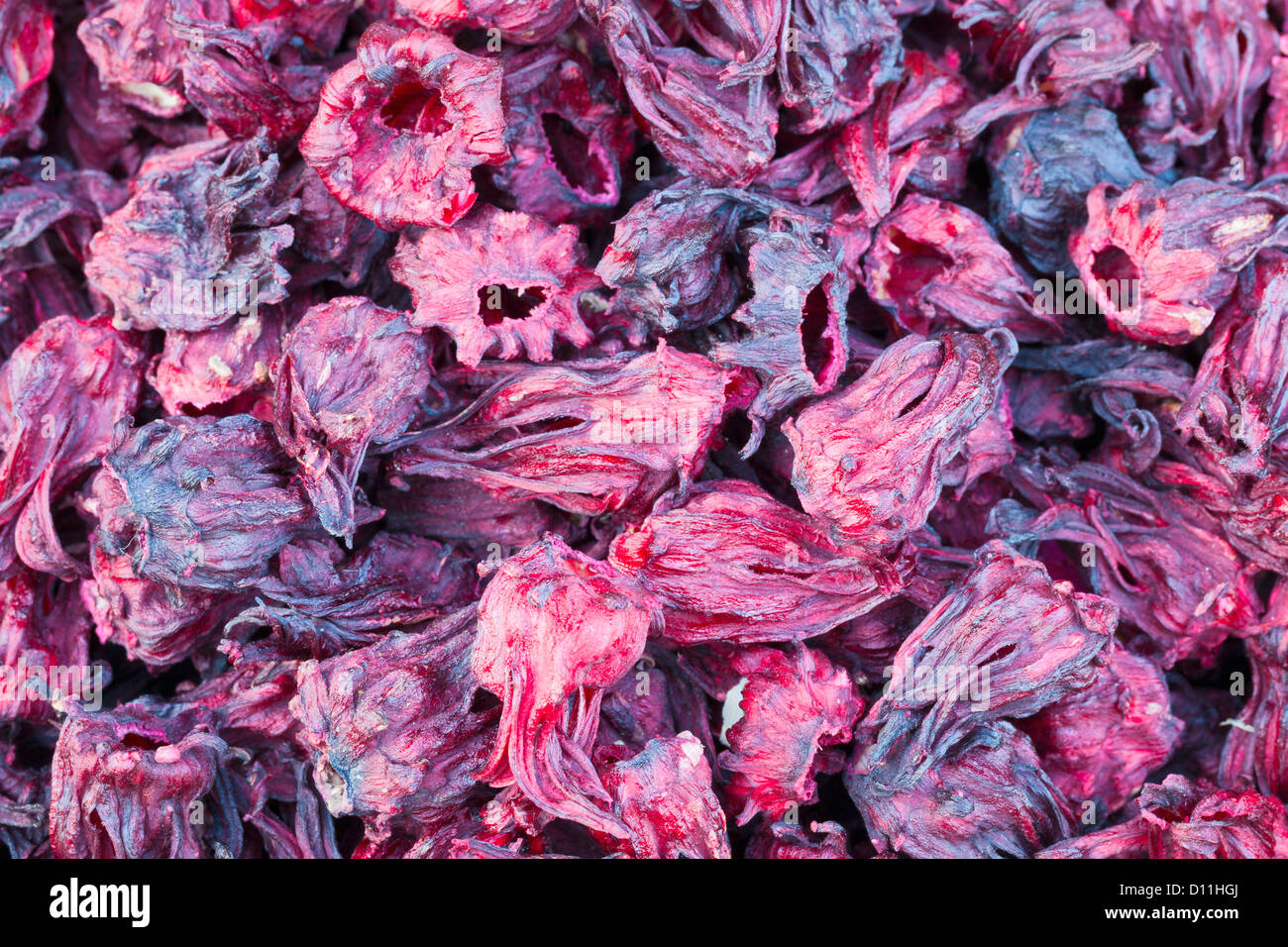 Getrocknete Hibiskusblüten aus Ägypten Stockfoto