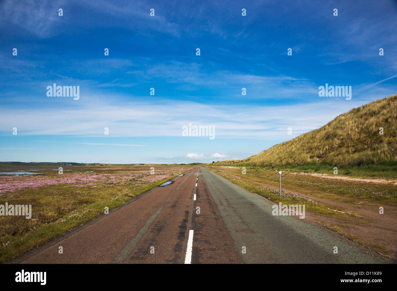 A Road führt geradeaus weiter; Northumberland, England Stockfoto