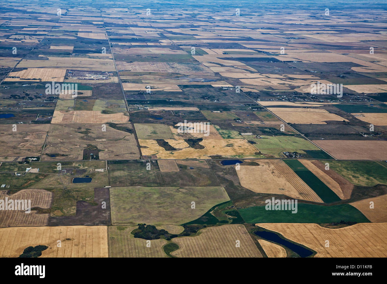 ein Flickenteppich von Feldern, Teichen und Straßen, die Decke der kanadischen Prärie. Eine Luftaufnahme von der Alberta Prärielandschaften Stockfoto