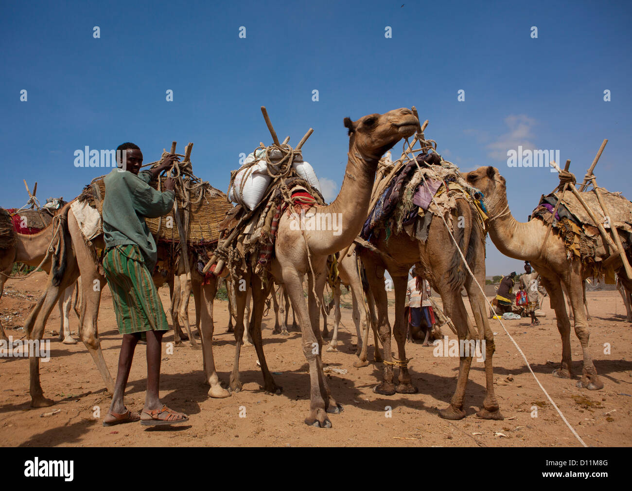Kamelzug karawane -Fotos und -Bildmaterial in hoher Auflösung – Alamy