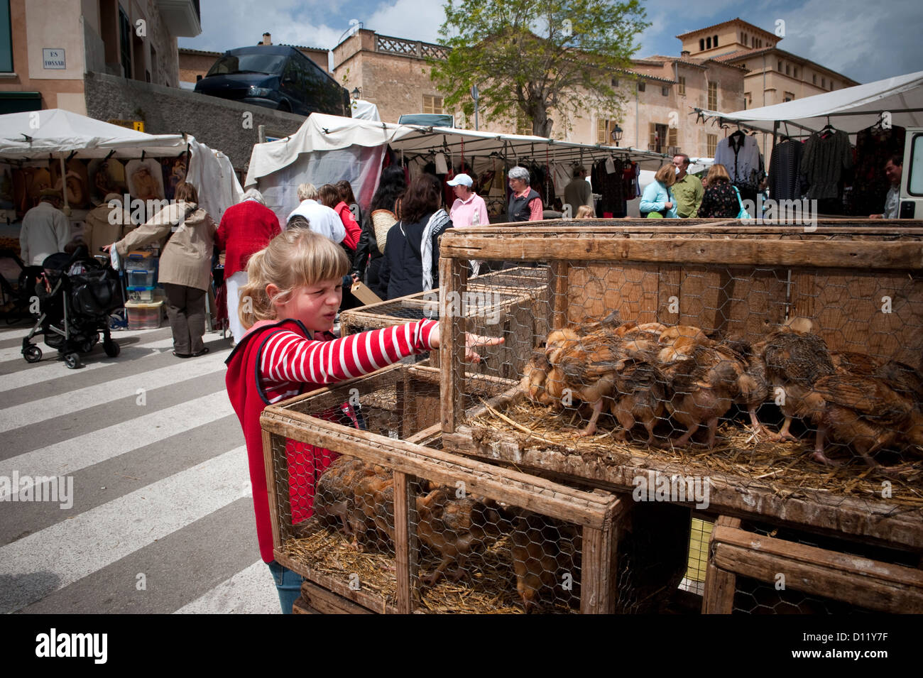 Sineu, Mallorca, Spanien, Vieh und Handwerkermarkt Stockfoto