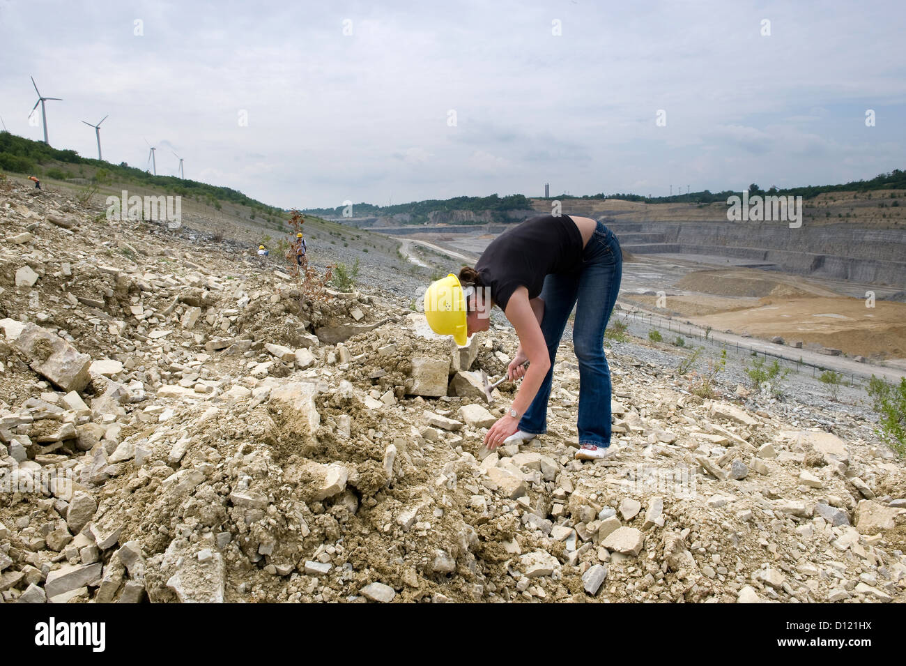 Rüdersdorf, Deutschland, geologische Fuehrungen im Kalksteinbruch Stockfoto