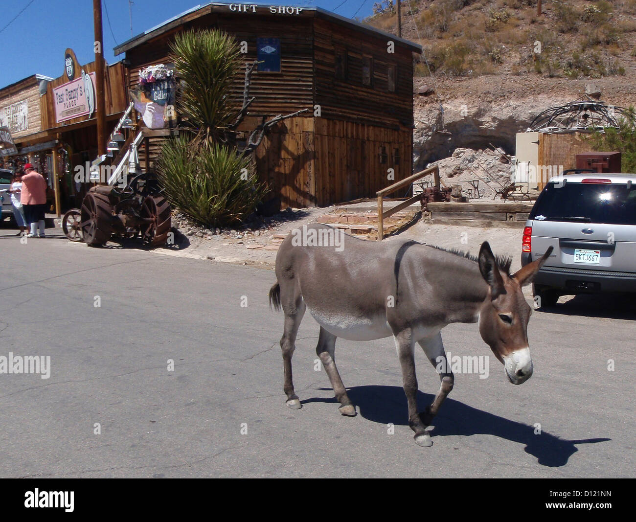 Esel in der Stadt Oatman Arizona USA Stockfoto