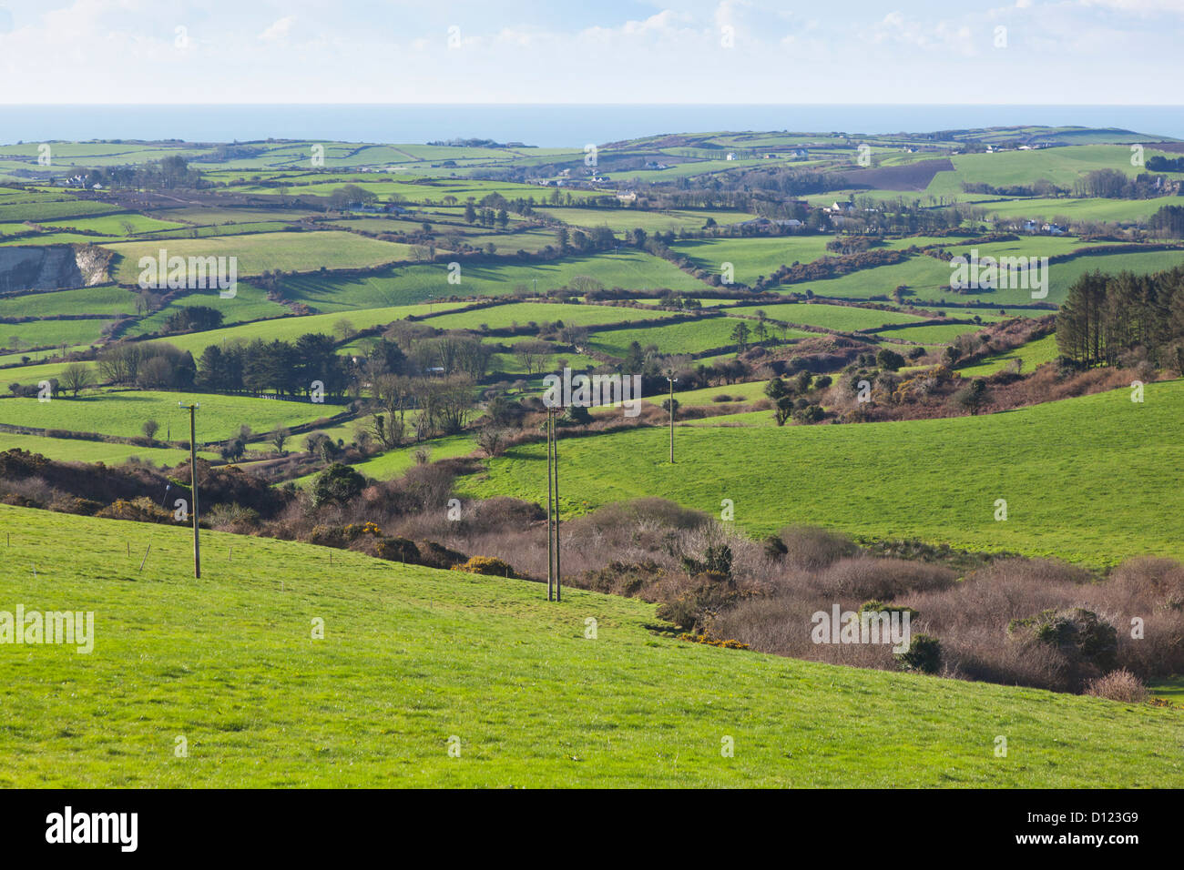 Landschaft in der Nähe in der Nähe von Skibbereen West Cork Rosscarbery; County Cork Irland Stockfoto