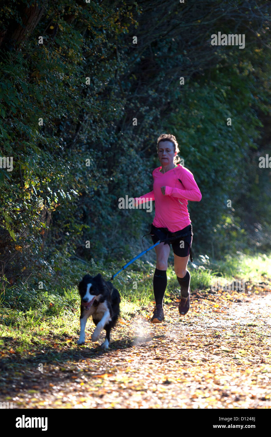 Leamington Parkrun, Läufer mit Hund an der Leine CaniX Stockfoto