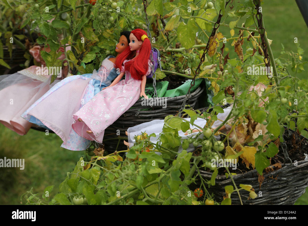Barbie-Puppen auf Tomaten Hanging Baskets Surrey England Stockfoto